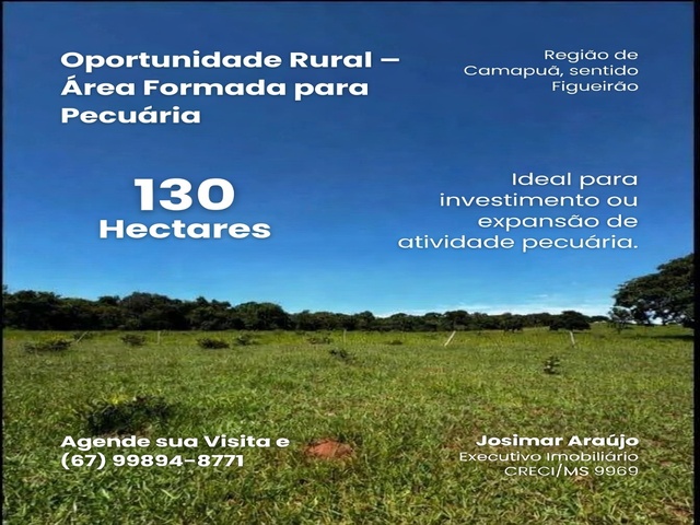 Oportunidade Rural – Área Formada para Pecuária