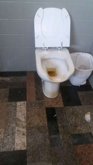 Vaso sanitários sujo pelos vândalos. (Foto: Direto das Ruas)( 