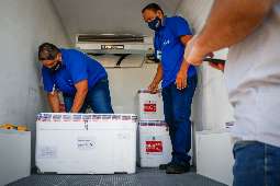 Caixas de isopor mantém as doses em estado adequado de conservação para serem aplicadas futuramente (Foto: Henrique Kawaminami)