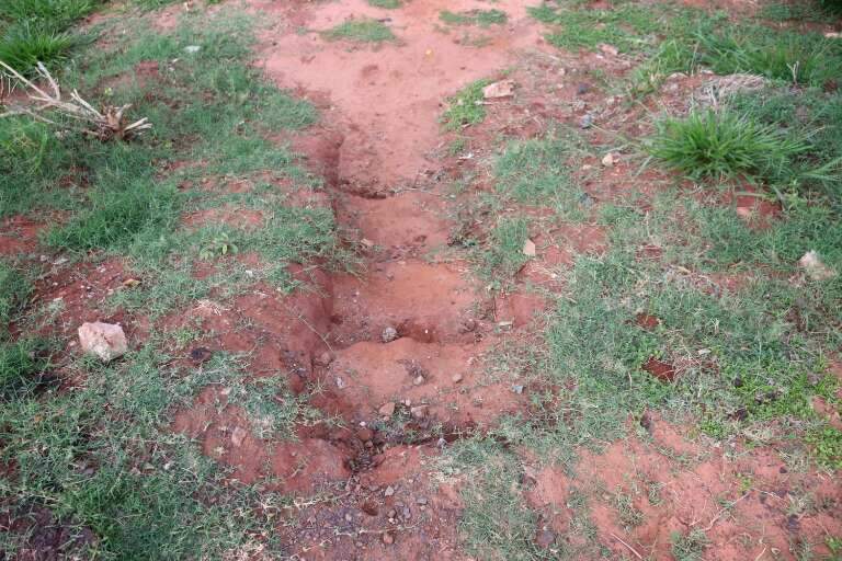 Campo Grande News