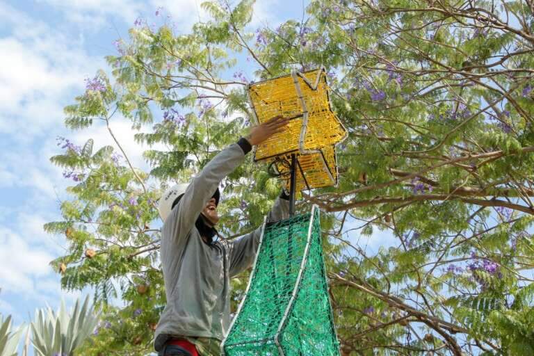 (Foto: Prefeitura de Três Lagoas)