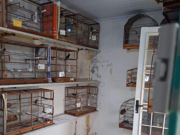 (Foto: Imasul e PMA/MS)