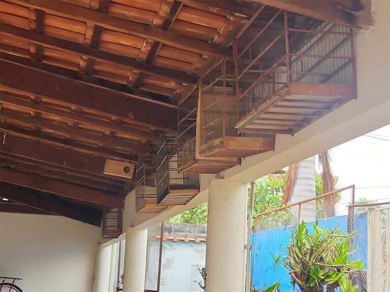 (Foto: Imasul e PMA/MS)