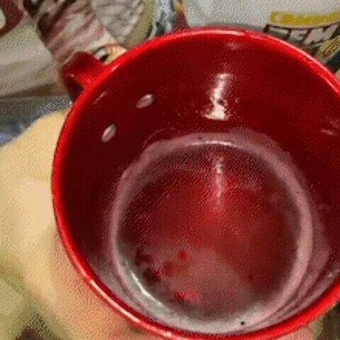 "Fábrica clandestina abastecia atléticas e pagava R$ 0,60 por garrafa devolvida"