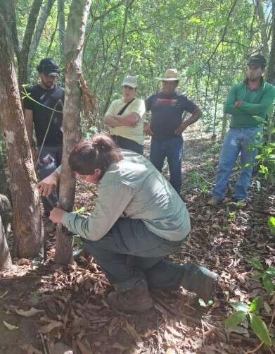 Campo Grande News