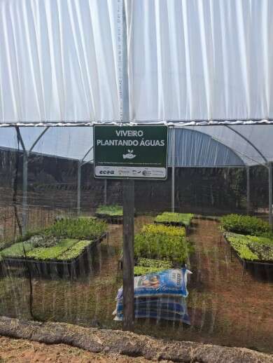 Campo Grande News