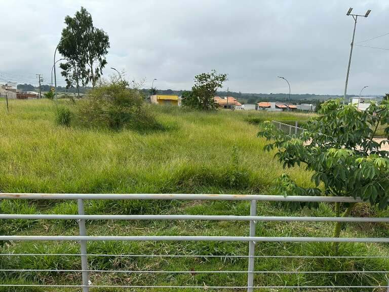 Campo Grande News