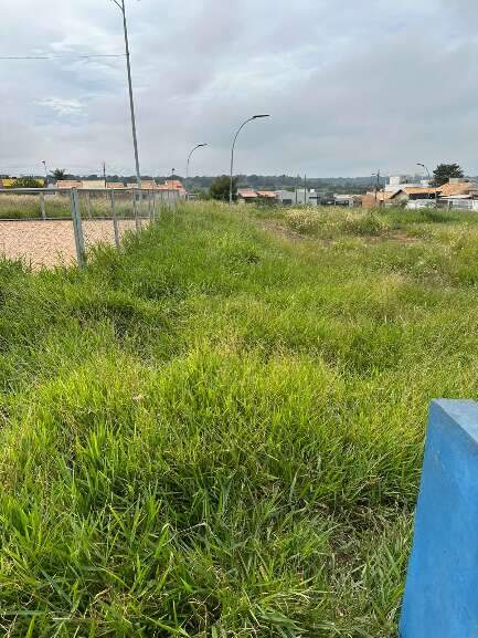 Campo Grande News