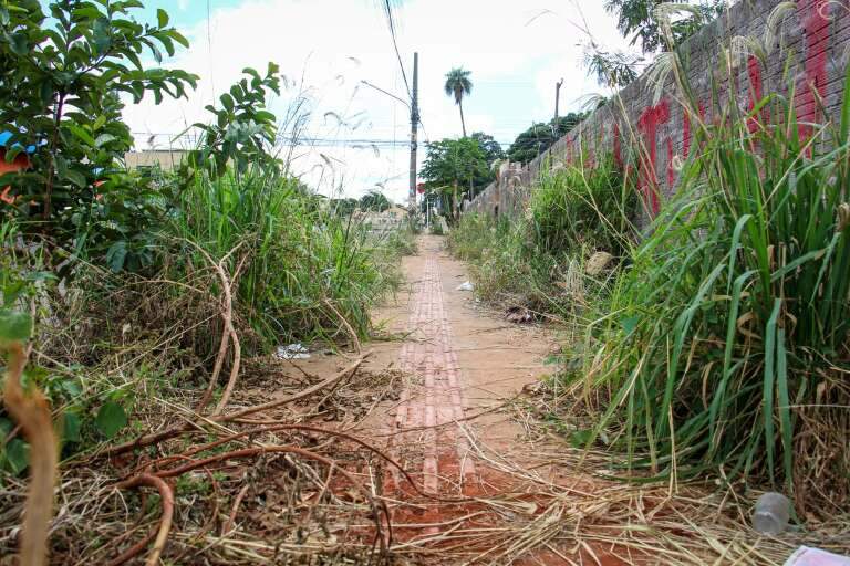 Campo Grande News