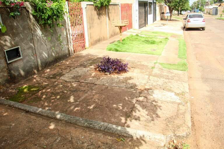 Campo Grande News