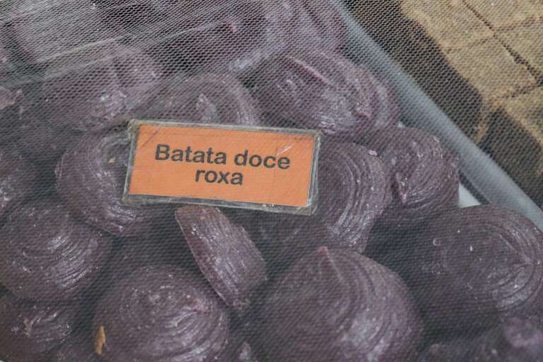 Campo Grande News