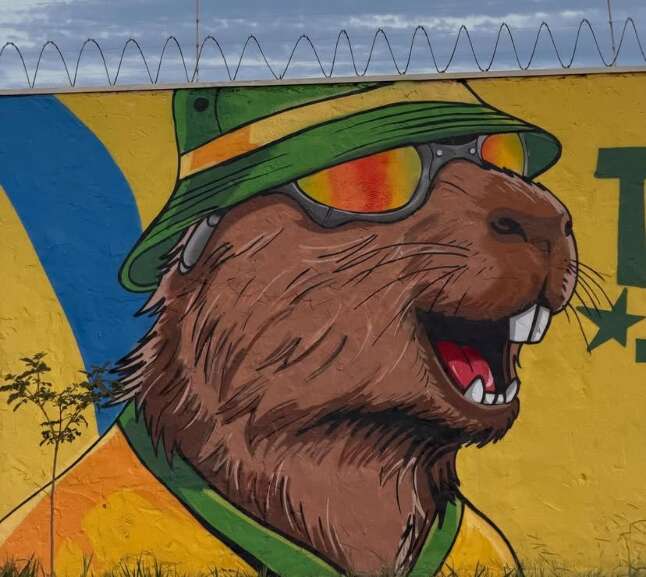 Campo Grande News
