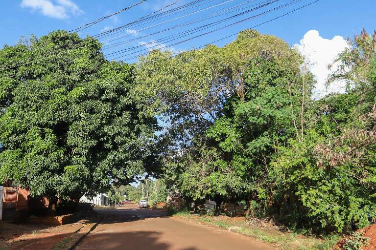 Rua São Simão abriga moradias urbanas e área de comodato (Foto: Paulo Francis)