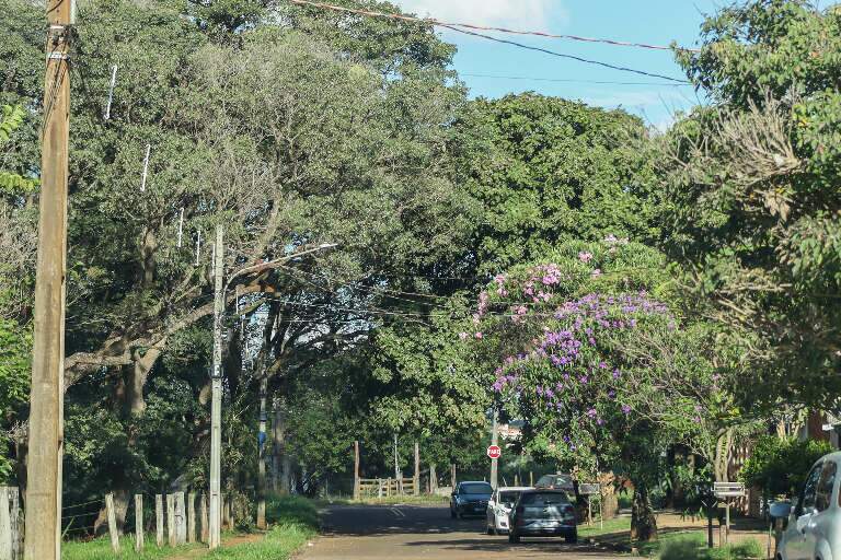 Residências em frente à chácara. (Foto: Paulo Francis)