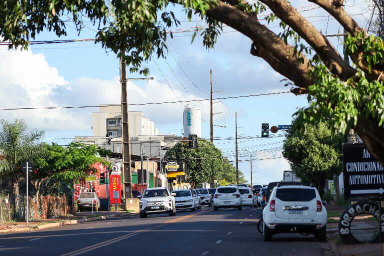 Movimento de veículos e comércio na Avenida Tamandaré (Foto: Paulo Francis)