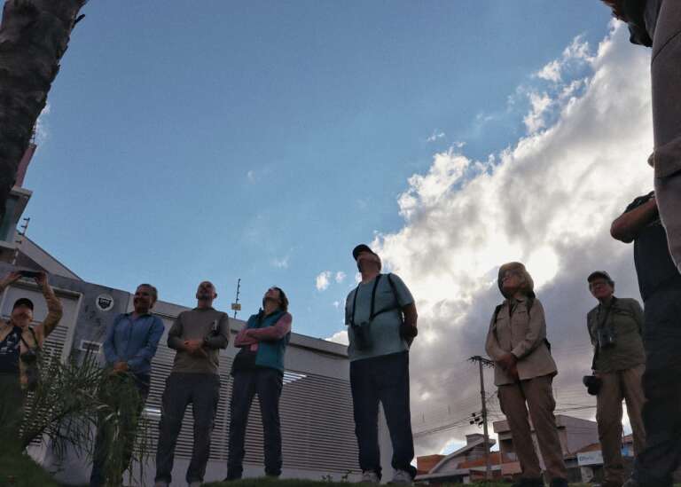 Campo Grande News