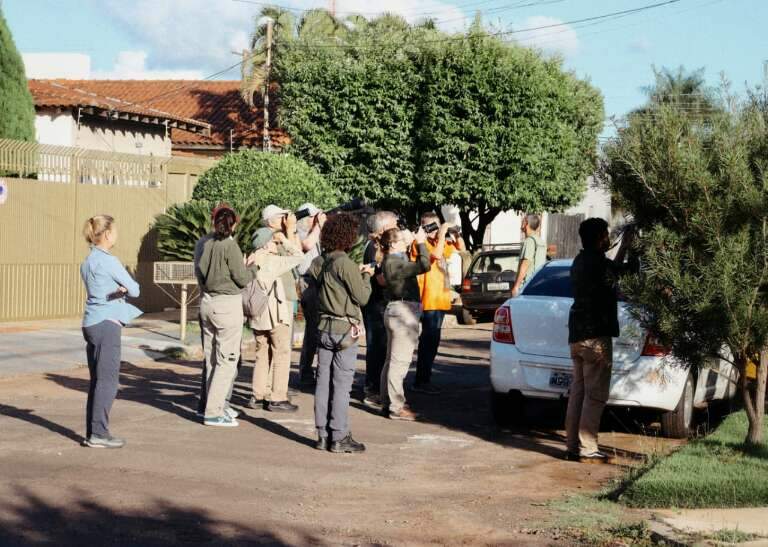 Campo Grande News