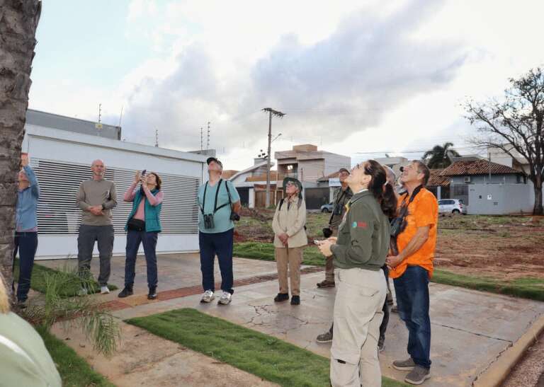Campo Grande News