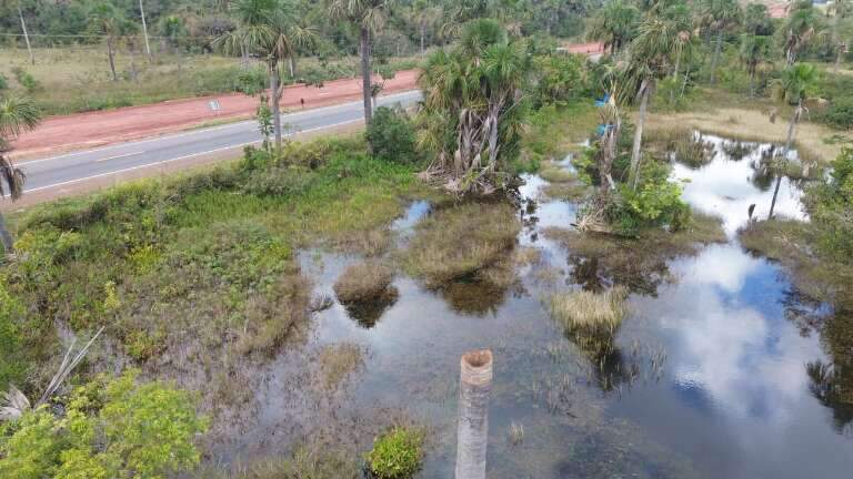 Campo Grande News