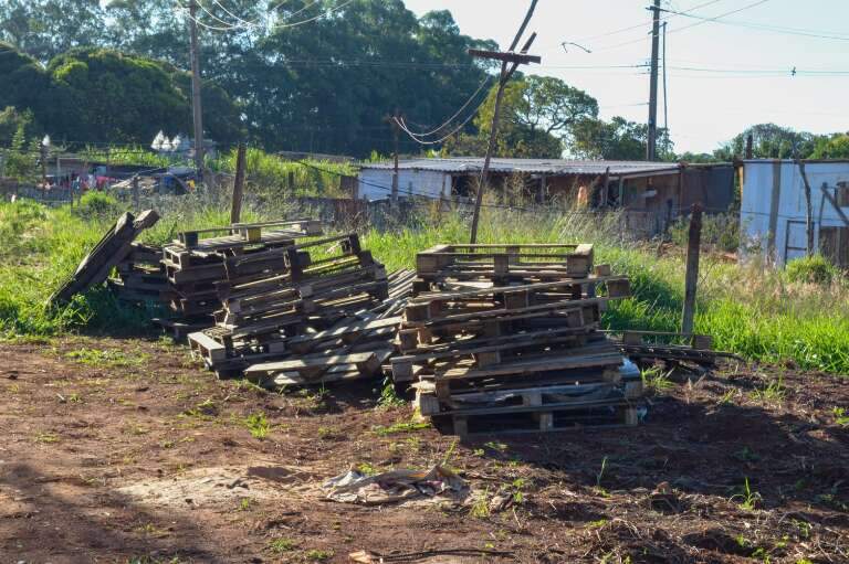 Campo Grande News