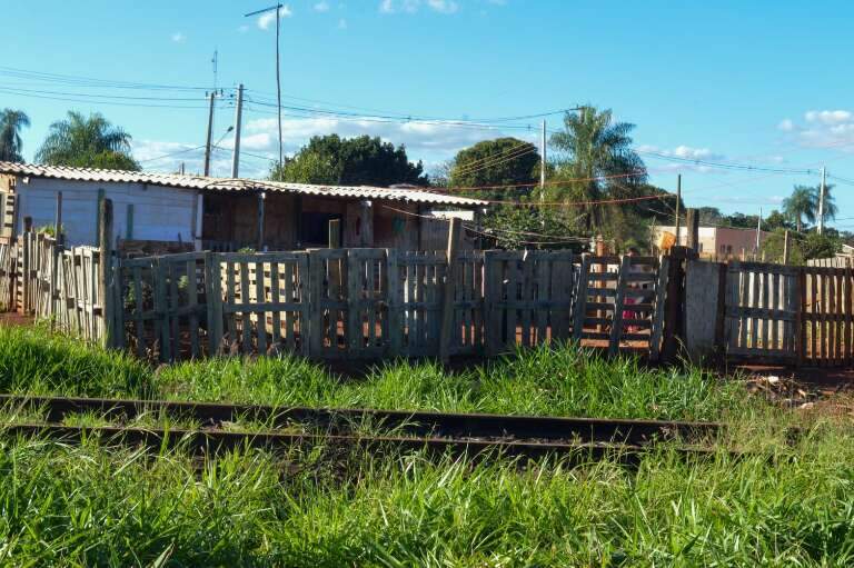Campo Grande News