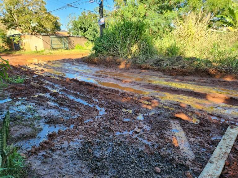 Campo Grande News