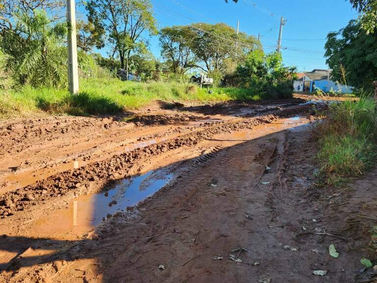 Campo Grande News