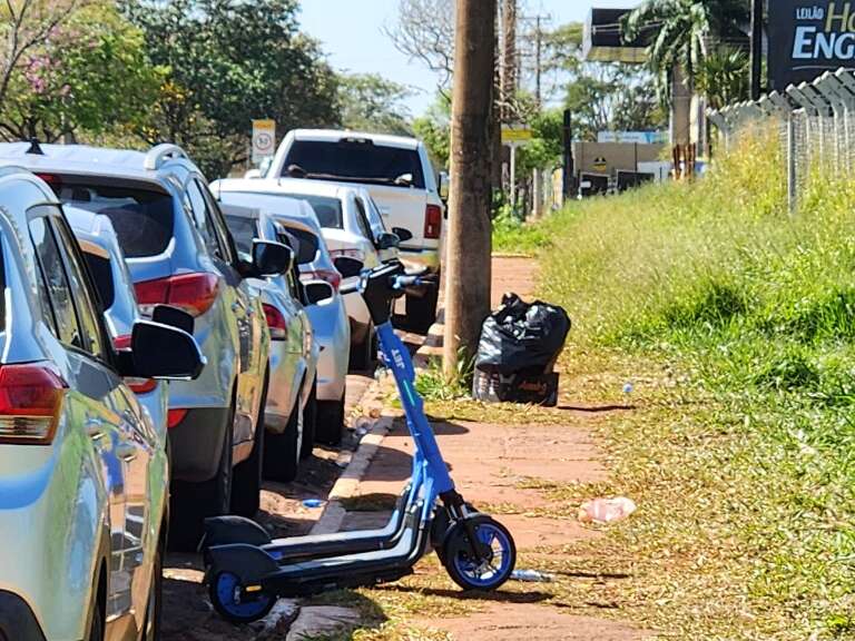 Campo Grande News