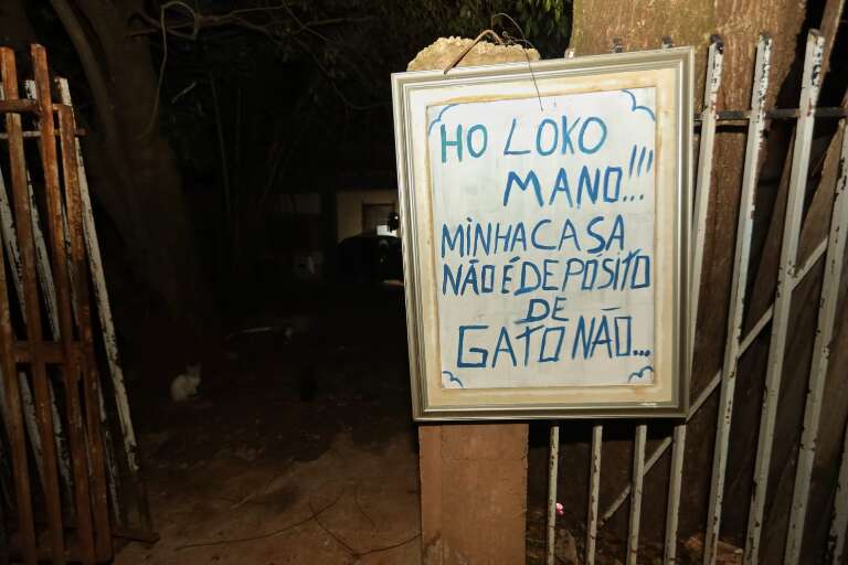Campo Grande News