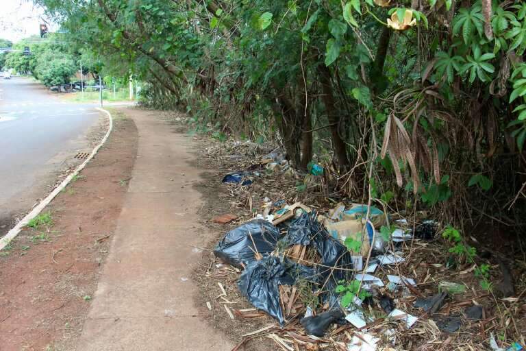 Campo Grande News