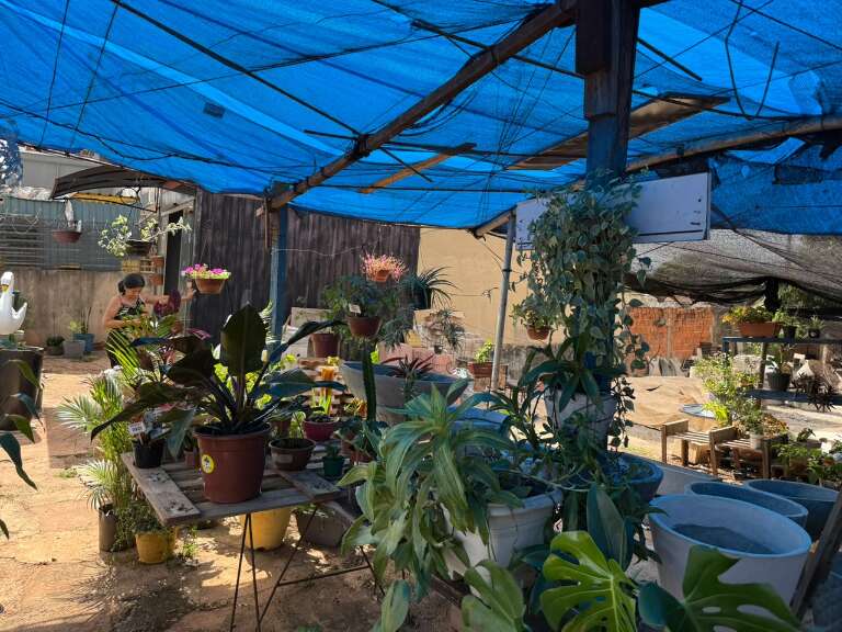 Campo Grande News