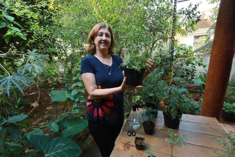 Campo Grande News