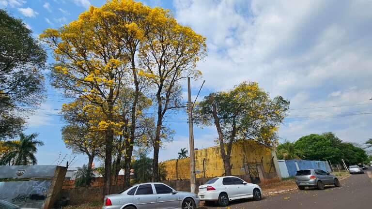Fotos: Inez Nazira