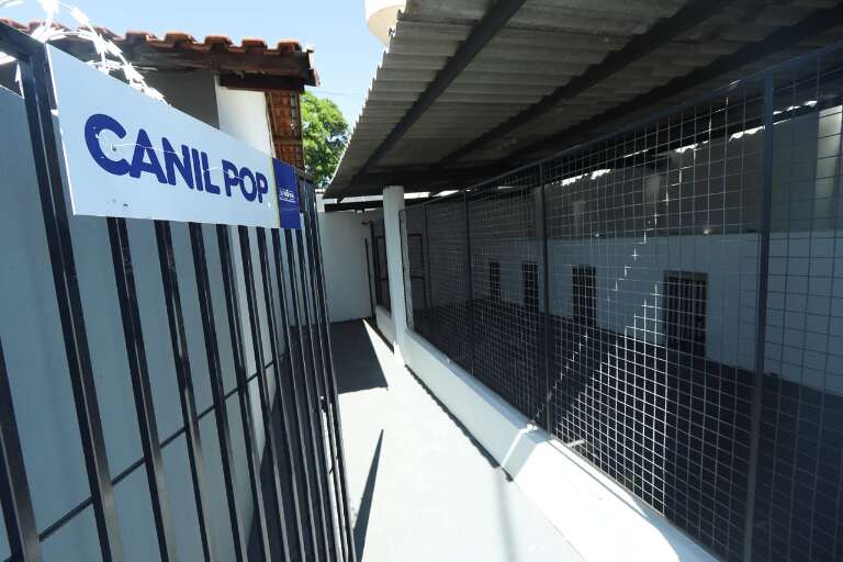 Campo Grande News
