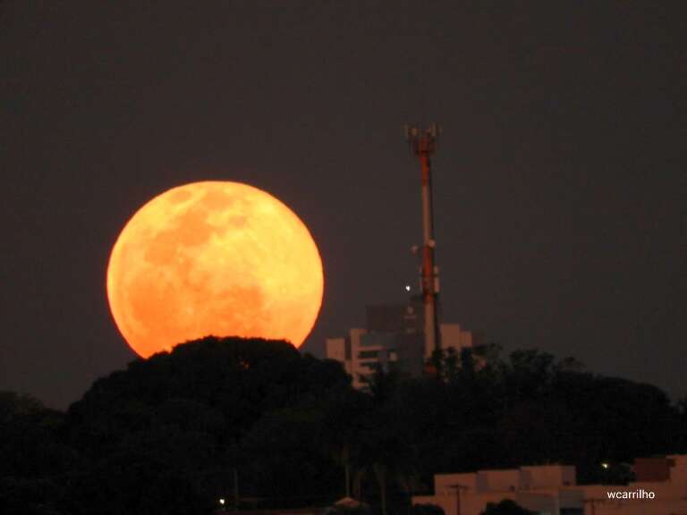 Campo Grande News