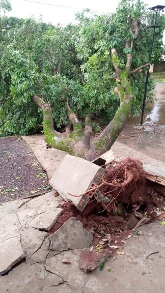Campo Grande News