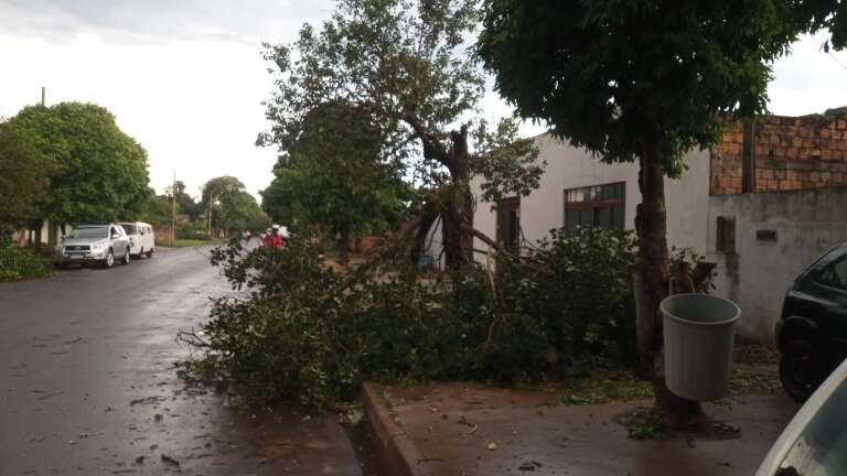 Campo Grande News