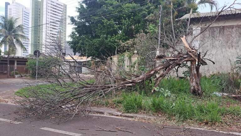 Campo Grande News