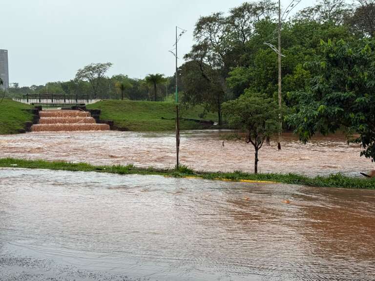 Campo Grande News
