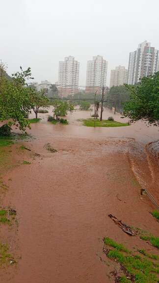 Campo Grande News