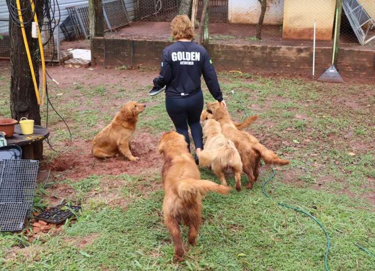 Campo Grande News