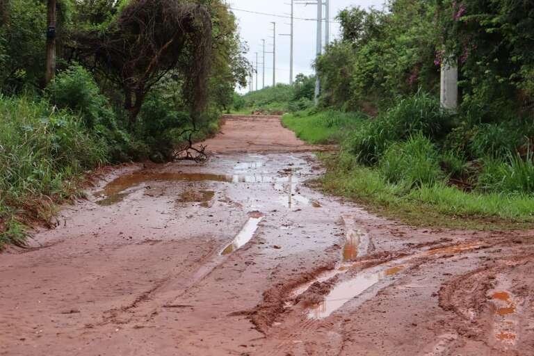 Campo Grande News