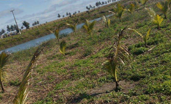 Campo Grande News