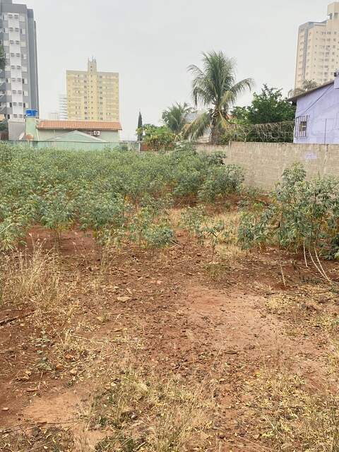 Terreno amplo bairro: vila gomes  - cruzeiro R$750mil