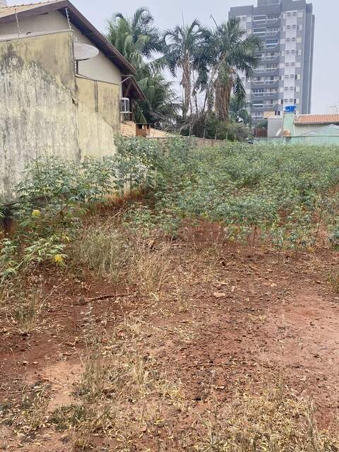 Terreno amplo bairro: vila gomes  - cruzeiro R$750mil