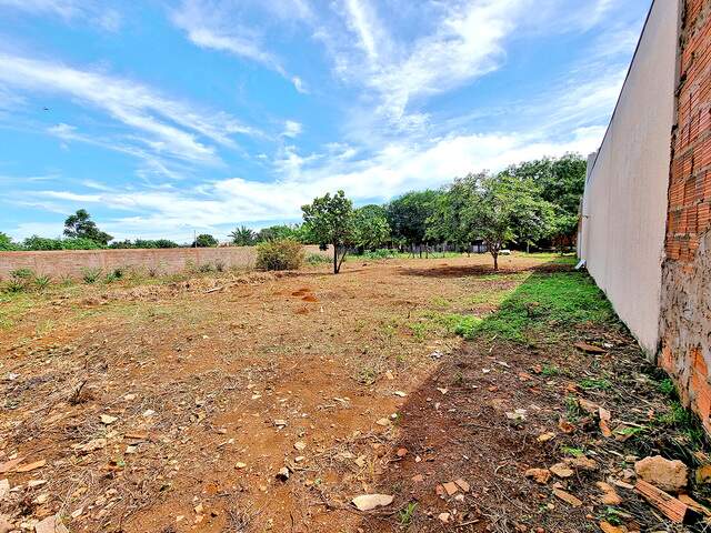 Terreno 390 m&sup2; Nova Campo Grande 