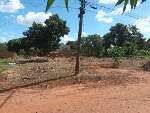 2 Terreno Juntos de 360M2 cada Jardim N S P Socorro