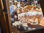 S&atilde;o Francisco precisa de produtos de limpeza para manter espa&ccedil;o seguro para pets