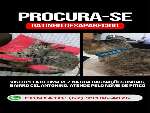 PROCURA-SE GATO PERDIDO