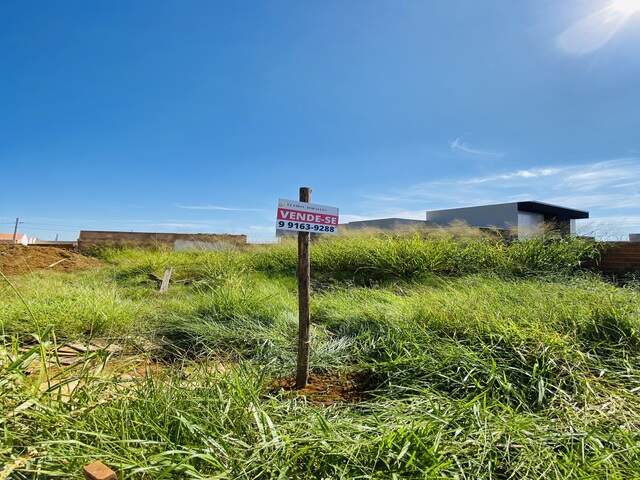 Vendo Terreno- Figuera do Parque R$125mil
